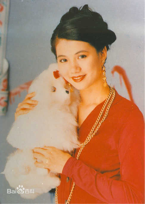 袁咏仪(Anita Yuen)早期照片图片图册