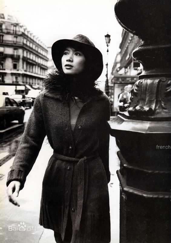 最全袁咏仪(Anita Yuen)壁纸