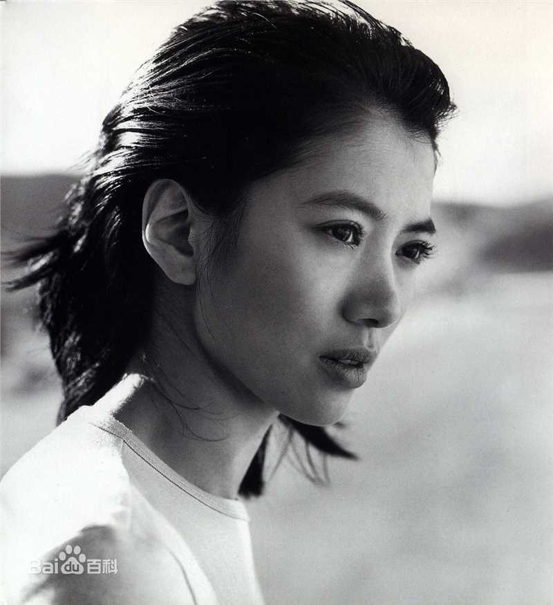 最全袁咏仪(Anita Yuen)壁纸