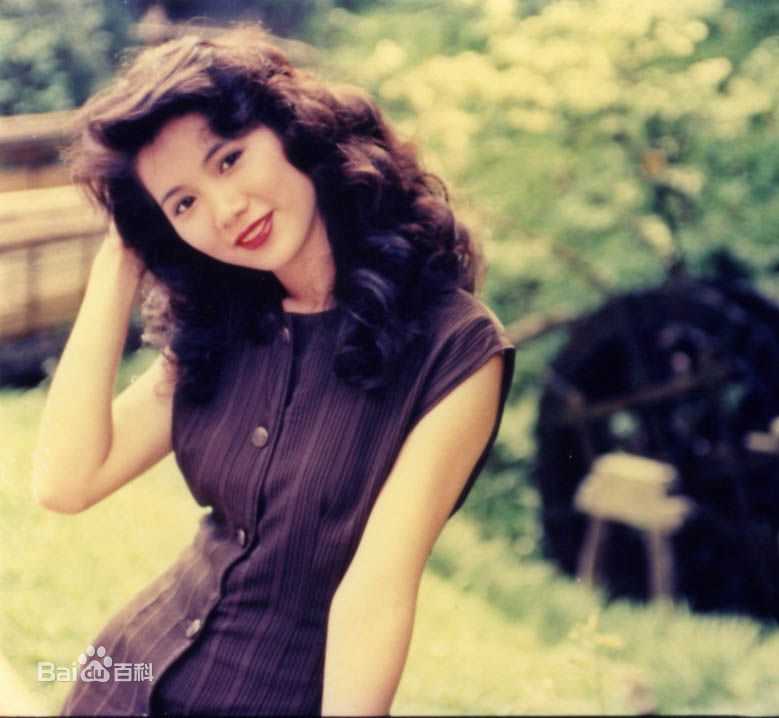 精选袁咏仪(Anita Yuen)