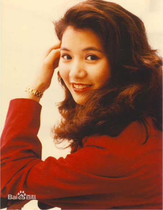 精选袁咏仪(Anita Yuen)