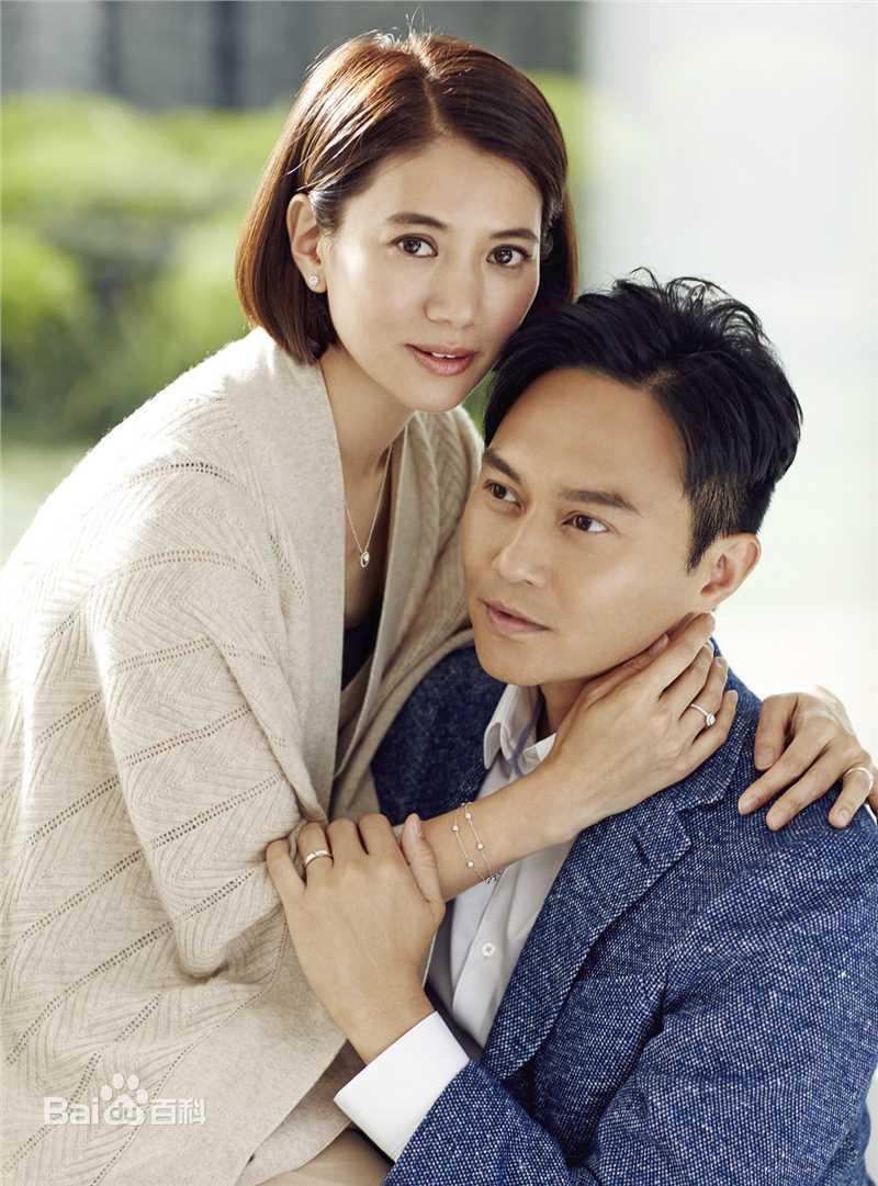 袁咏仪(Anita Yuen)和张智霖壁纸壁纸