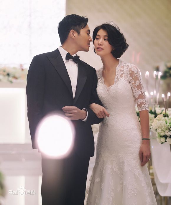 袁咏仪(Anita Yuen)和张智霖壁纸壁纸