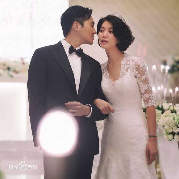 袁咏仪(Anita Yuen)和张智霖壁纸壁纸