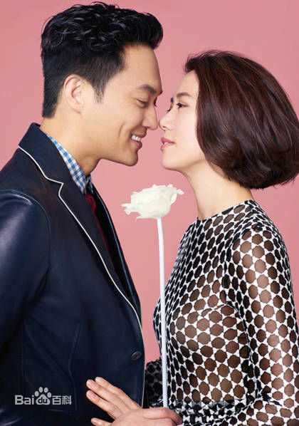 袁咏仪(Anita Yuen)和张智霖壁纸壁纸