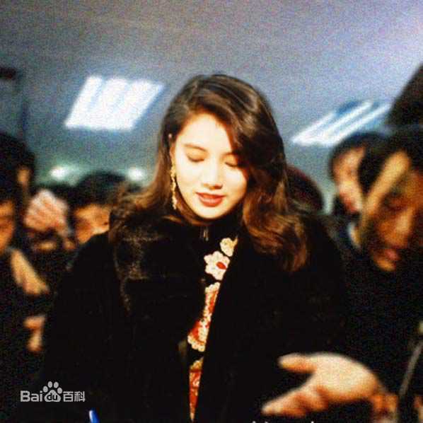 袁咏仪(Anita Yuen)工作照前后照片