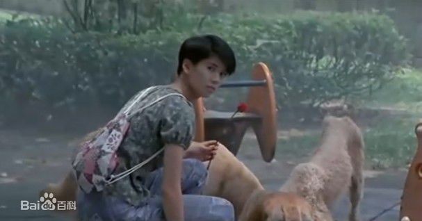 袁咏仪(Anita Yuen)1994年《国产零零漆》精选剧照