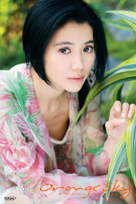 最全袁咏仪(Anita Yuen)精彩图册