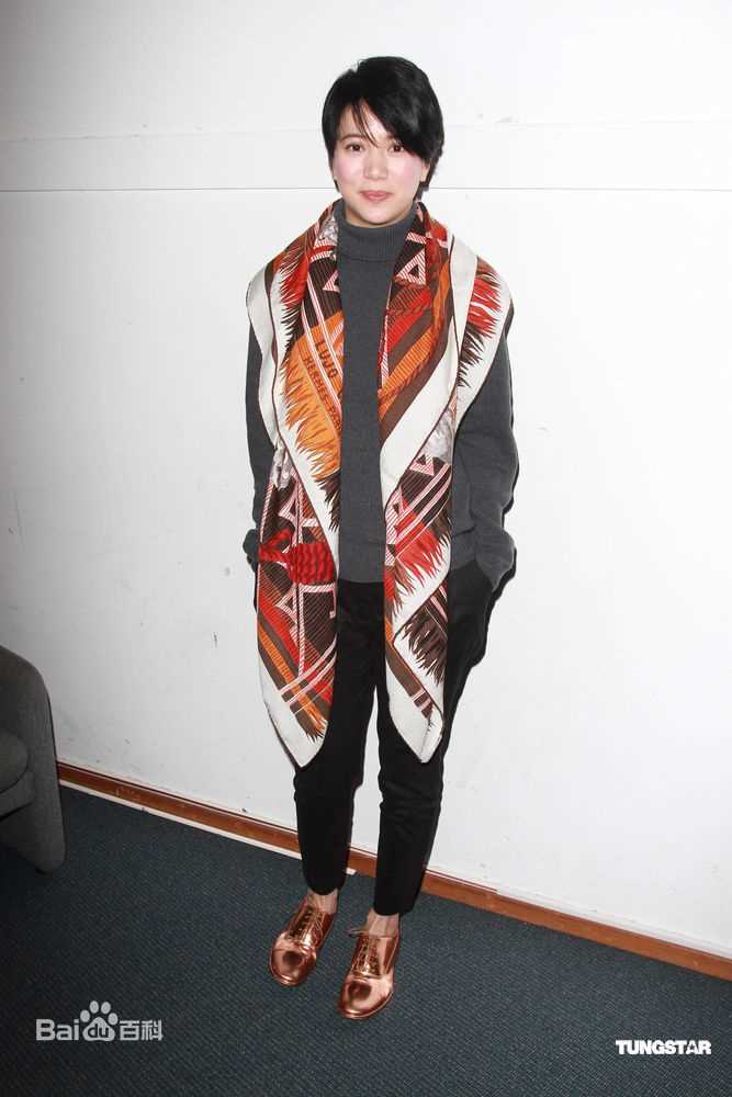 最全袁咏仪(Anita Yuen)精彩图册