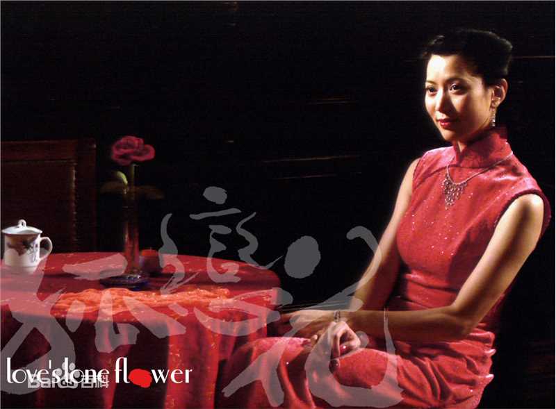 最新袁咏仪(Anita Yuen)精彩图册