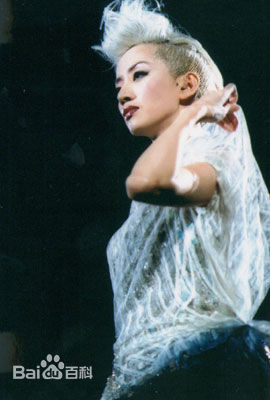 梅艳芳(Anita Mui，アニタ ·ムイ)百变舞台形象素颜照相册