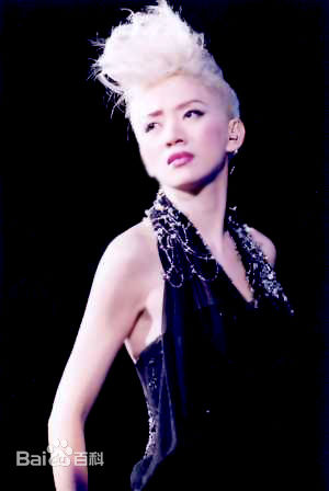 梅艳芳(Anita Mui，アニタ ·ムイ)百变舞台形象素颜照相册