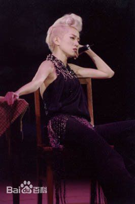 梅艳芳(Anita Mui，アニタ ·ムイ)百变舞台形象素颜照相册