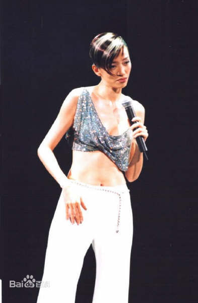 梅艳芳(Anita Mui，アニタ ·ムイ)百变舞台形象素颜照相册