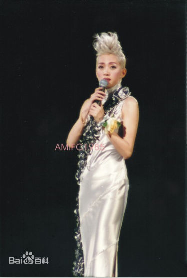 梅艳芳(Anita Mui，アニタ ·ムイ)百变舞台形象素颜照相册