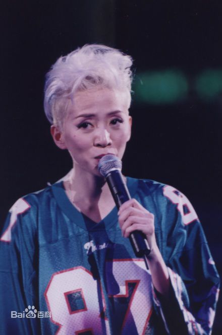 梅艳芳(Anita Mui，アニタ ·ムイ)百变舞台形象素颜照相册