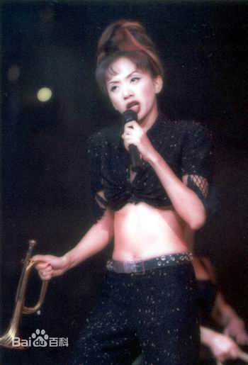 梅艳芳(Anita Mui，アニタ ·ムイ)百变舞台形象素颜照相册