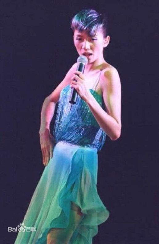 梅艳芳(Anita Mui，アニタ ·ムイ)百变舞台形象素颜照相册