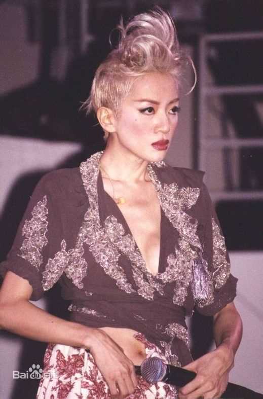 梅艳芳(Anita Mui，アニタ ·ムイ)百变舞台形象素颜照相册