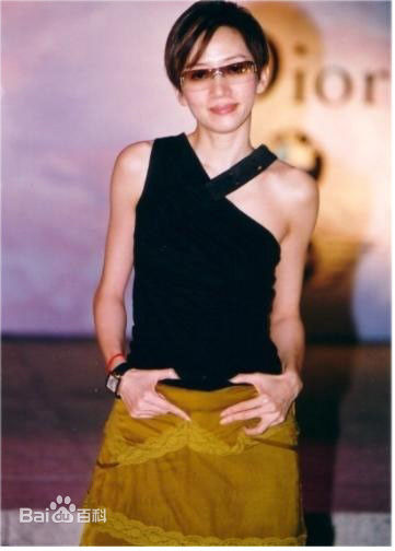 梅艳芳(Anita Mui，アニタ ·ムイ)生活照壁纸壁纸