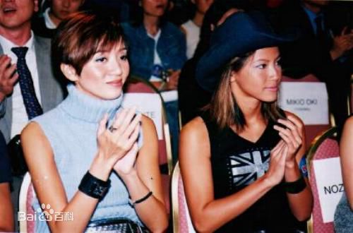 梅艳芳(Anita Mui，アニタ ·ムイ)梅家班性感图片图集