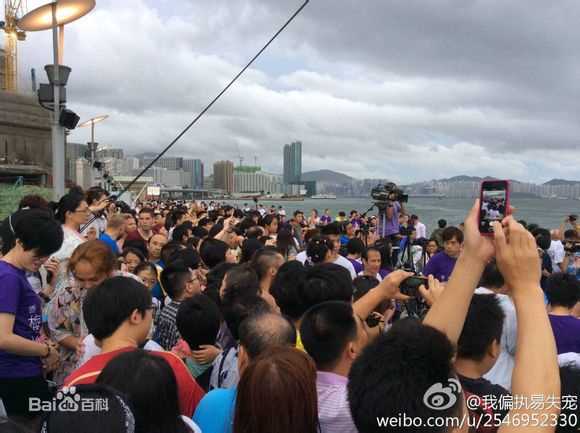 梅艳芳(Anita Mui，アニタ ·ムイ)铜像素颜照相册