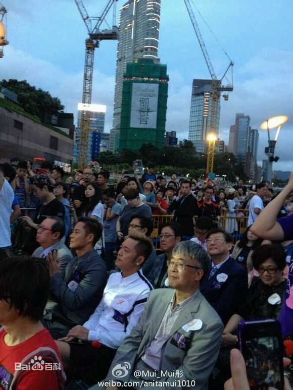 梅艳芳(Anita Mui，アニタ ·ムイ)铜像素颜照相册