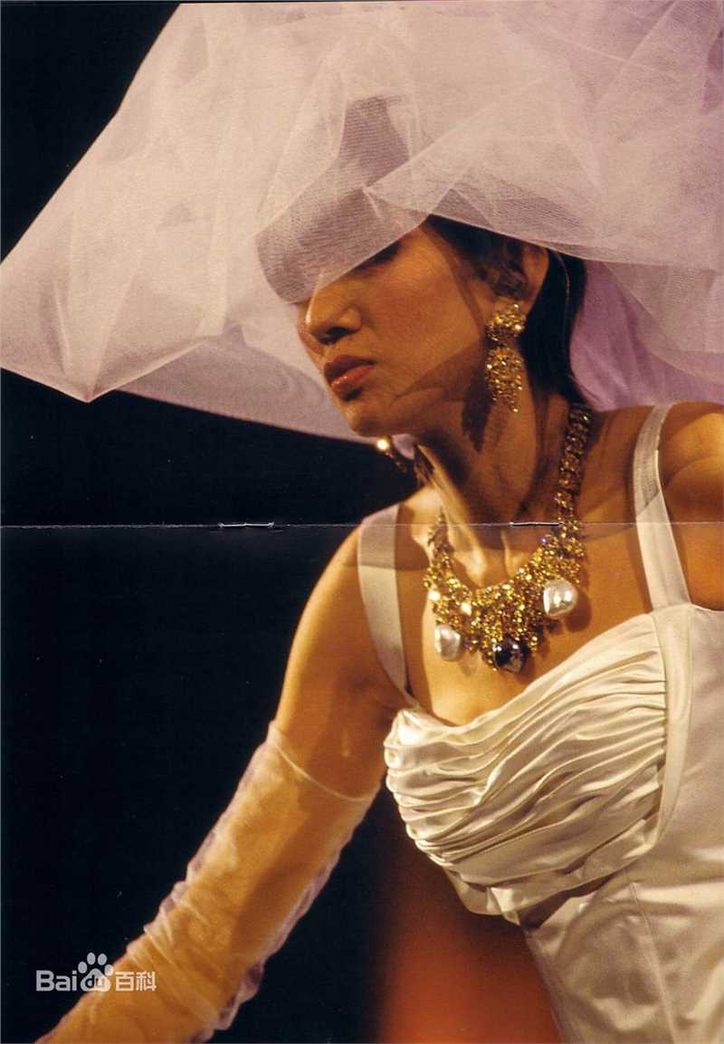 梅艳芳(Anita Mui，アニタ ·ムイ)2003年经典金曲演唱会图片图册