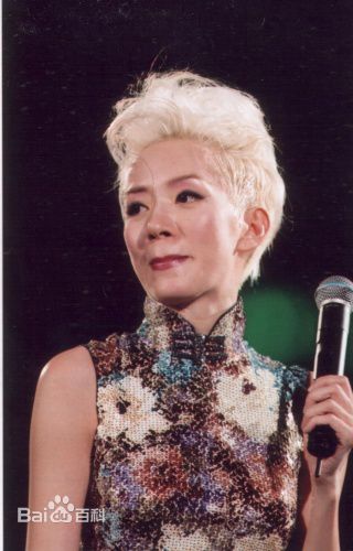 梅艳芳(Anita Mui，アニタ ·ムイ)2002年极梦幻演唱会性感图片图集