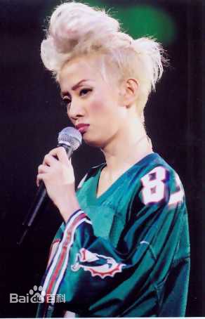 梅艳芳(Anita Mui，アニタ ·ムイ)2002年极梦幻演唱会性感图片图集