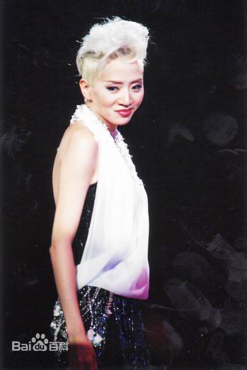 梅艳芳(Anita Mui，アニタ ·ムイ)2002年极梦幻演唱会性感图片图集
