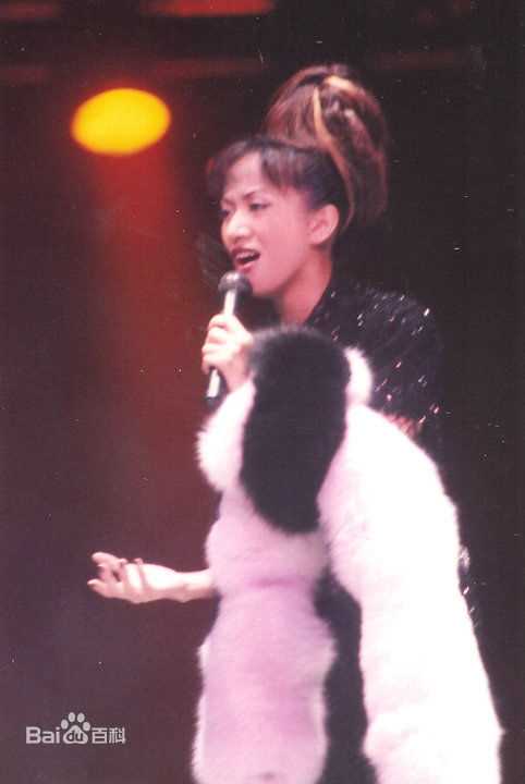 梅艳芳(Anita Mui，アニタ ·ムイ)1995年一个美丽的回响演唱会素颜照相册
