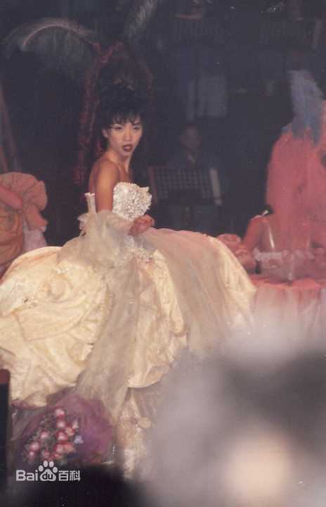 梅艳芳(Anita Mui，アニタ ·ムイ)1995年一个美丽的回响演唱会素颜照相册