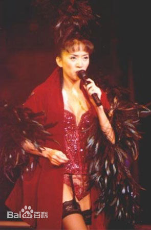 梅艳芳(Anita Mui，アニタ ·ムイ)1995年一个美丽的回响演唱会素颜照相册