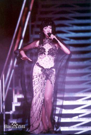 梅艳芳(Anita Mui，アニタ ·ムイ)1995年一个美丽的回响演唱会素颜照相册