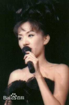 梅艳芳(Anita Mui，アニタ ·ムイ)1995年一个美丽的回响演唱会素颜照相册