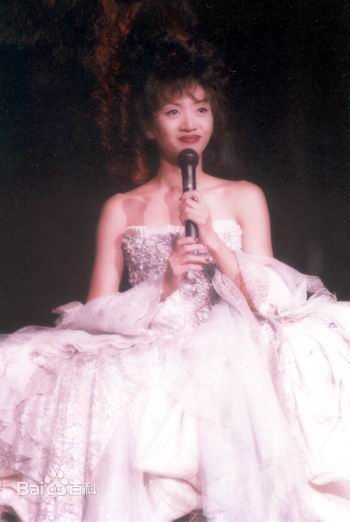 梅艳芳(Anita Mui，アニタ ·ムイ)1995年一个美丽的回响演唱会素颜照相册