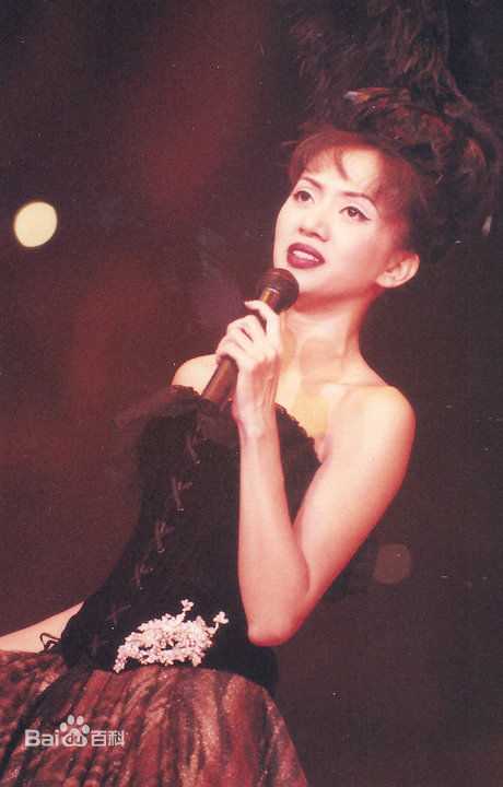 梅艳芳(Anita Mui，アニタ ·ムイ)1995年一个美丽的回响演唱会素颜照相册
