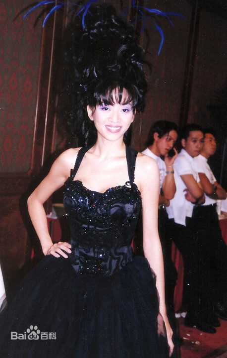 梅艳芳(Anita Mui，アニタ ·ムイ)1995年一个美丽的回响演唱会素颜照相册