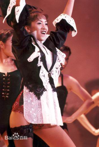 梅艳芳(Anita Mui，アニタ ·ムイ)1995年一个美丽的回响演唱会素颜照相册