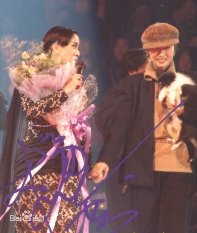 梅艳芳(Anita Mui，アニタ ·ムイ)1991-1992年 告别舞台演唱会图片图册