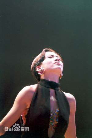 梅艳芳(Anita Mui，アニタ ·ムイ)1991-1992年 告别舞台演唱会图片图册