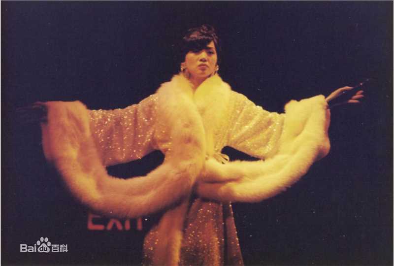 梅艳芳(Anita Mui，アニタ ·ムイ)1991-1992年 告别舞台演唱会图片图册