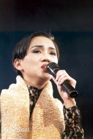 梅艳芳(Anita Mui，アニタ ·ムイ)1991-1992年 告别舞台演唱会图片图册