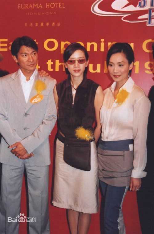 梅艳芳(Anita Mui，アニタ ·ムイ)合影壁纸壁纸