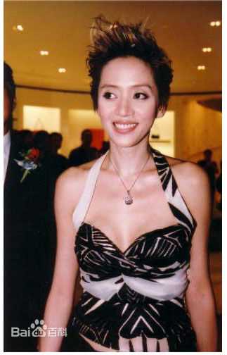 梅艳芳(Anita Mui，アニタ ·ムイ)活动照图片图册