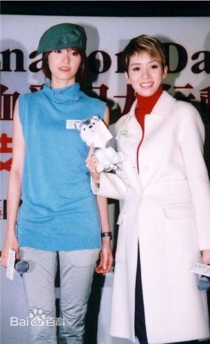 梅艳芳(Anita Mui，アニタ ·ムイ)活动照图片图册