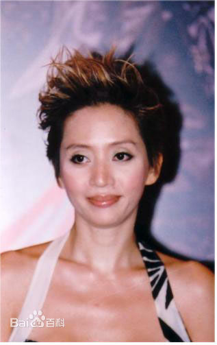 梅艳芳(Anita Mui，アニタ ·ムイ)活动照图片图册