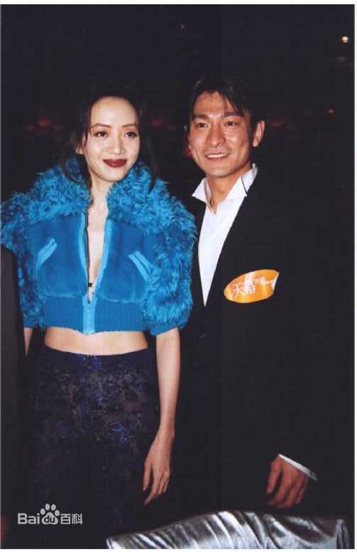 梅艳芳(Anita Mui，アニタ ·ムイ)活动照图片图册