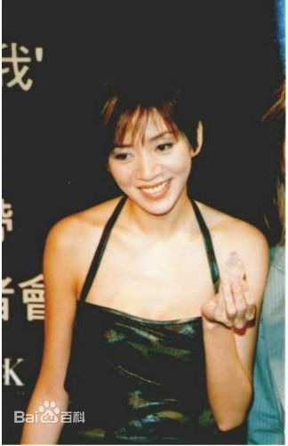 梅艳芳(Anita Mui，アニタ ·ムイ)活动照图片图册